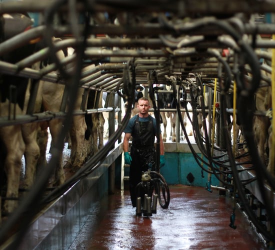 10 dairy farms shortlisted for the NDC Kerrygold Quality Milk Awards
