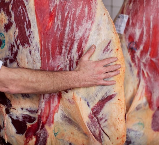 Beef carcass price in January '25 up 18% compared to '24