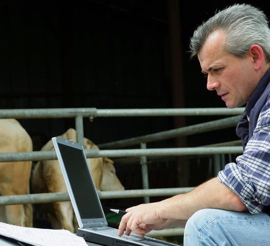 Farmers invited to free farm safety-focused webinar on funding programmes