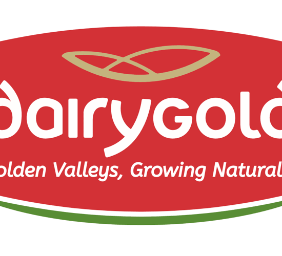 New appointment to Dairygold board