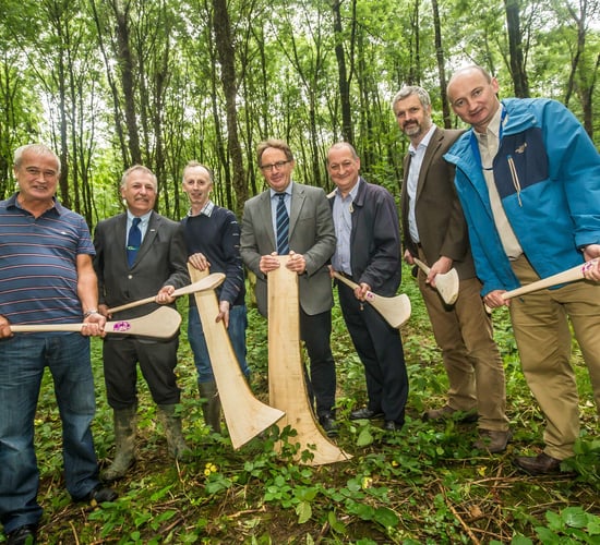 Harvesting of hurley butts starts in Johnstown Castle