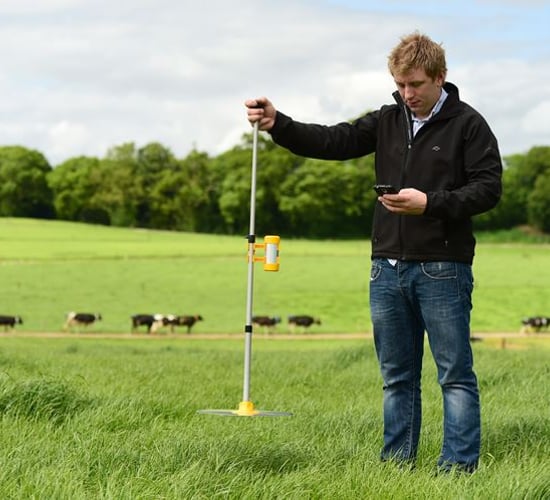 New grasshopper wins big at the National Dairy Show