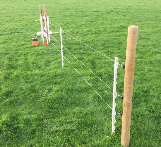 Pics: Cost-effective temporary sheep fencing options on show