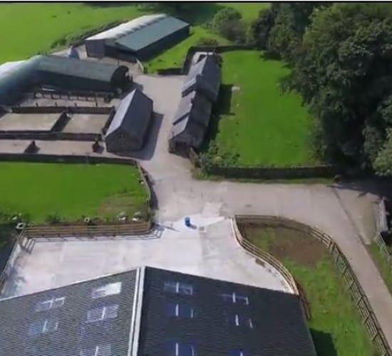 Video: Check out the new €920,000 sheep handling facility at this ag college