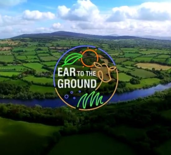 Farm smells, animal rescues and art to feature on Ear to the Ground