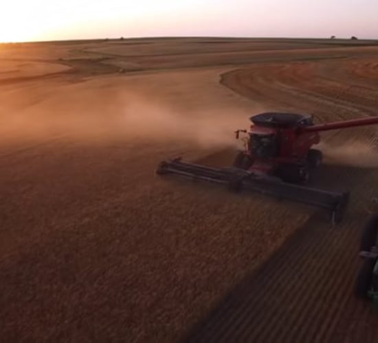 Video: Great footage of over 2,000ac of wheat being harvested in the US