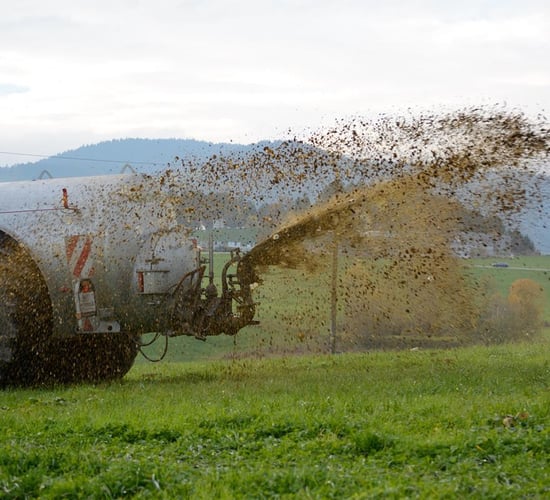 Derogation: Slurry testing necessary if exporting