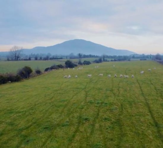 Video: New documentary aims to show Ireland's obsession with land
