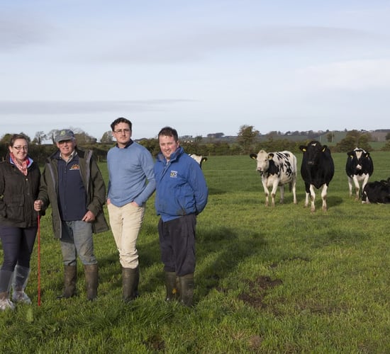 How management of colostrum has a big impact on its quality