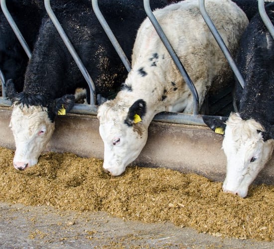 Farmers have just days left to secure December Genomics payments