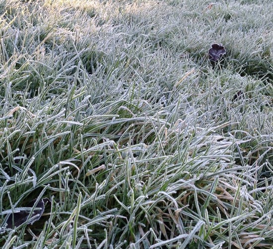 Weather to be unsettled overall, turning colder from midweek