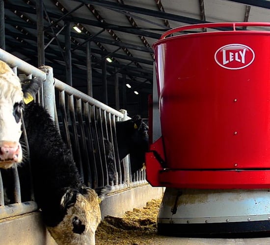 Video: A robotic feeding system with a difference in Co. Cork