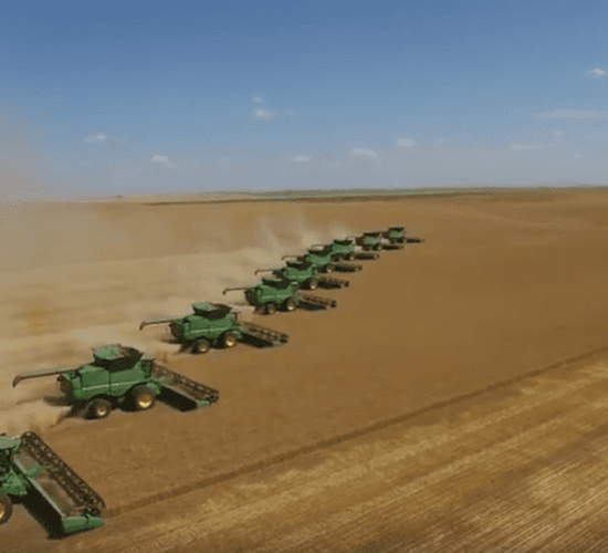 Another year of global cereal abundance on the cards