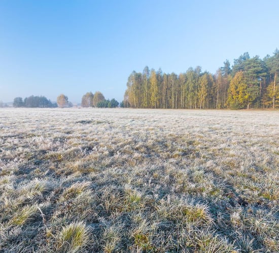 Dry weather in store, but colder conditions forecast from mid-week