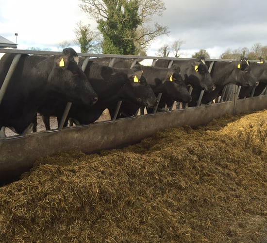 Value of Irish dairy exports to the UK drops 10% in 2016