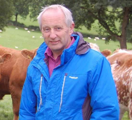 AFBI launches ‘Glenarm’, a new mid-season diploid ryegrass