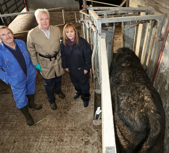 TB update: Chief vet says 'better surveillance' pushing up TB incidence rates
