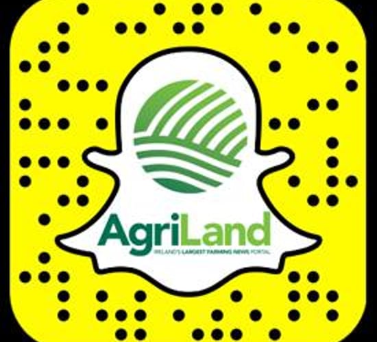 The best Snapchats Agriland received this year – did your photo make the cut?