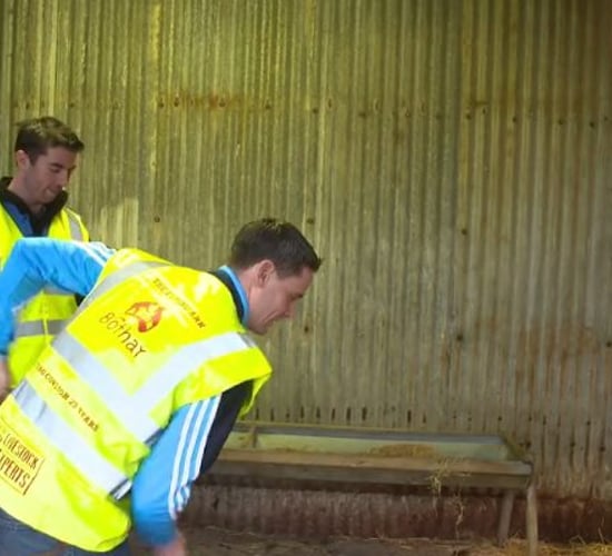 Video: All-Ireland winners visit farm where Bothar animals are hand-reared