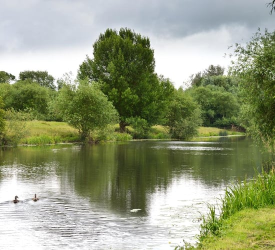 ASSAP: 'Working with farmers the best way to improve water quality'
