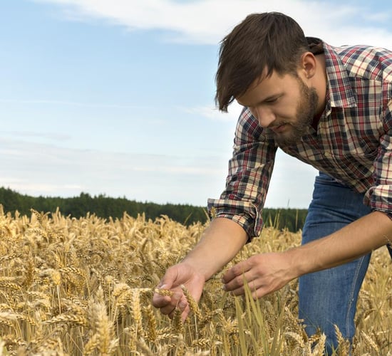 EU agri ministers urged not to take young farmers for granted