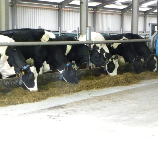 When can farmers expect Milk Supply Reduction Scheme payments to issue?