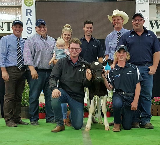 Holstein heifer calf sells for over €175,000 in Australia
