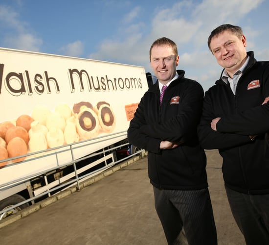 Second largest mushroom supplier to the UK acquires Golden Mushrooms