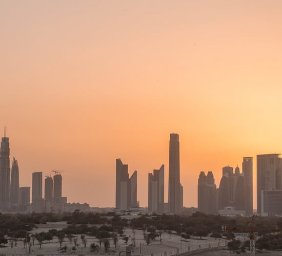 Irish beef and dairy at top of trade mission agenda to Gulf States