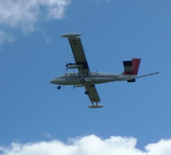 Farmers warned about low-flying aircraft which may startle livestock