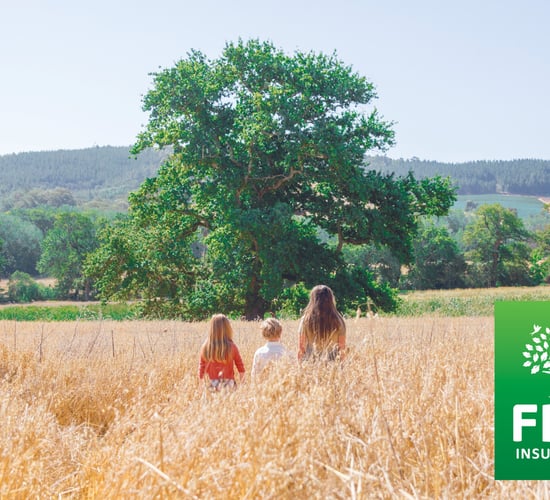 FBD's profits before tax soar by over €62 million for 2019