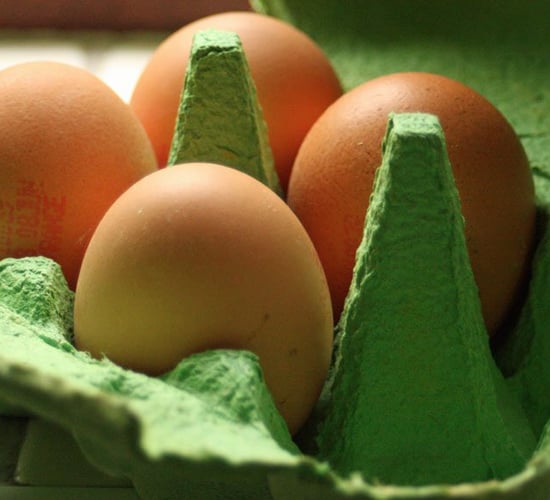 'Egg producers deserve State support as they lose free range status'