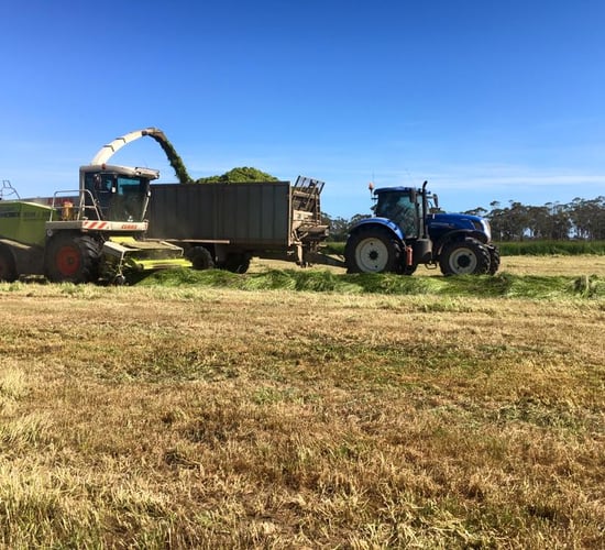 Video: Silage addiction draws one young Irish man to Australia and back
