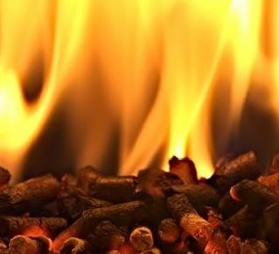 Tyrone farmer gets over £600,000 from NI heat scheme...using 13 boilers
