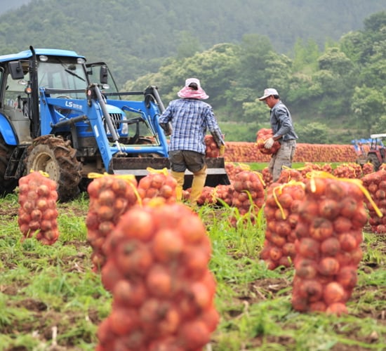 From east to west: More Korean tractors destined for Irish farms?