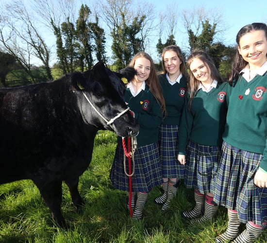 Dublin girls take home first prize in Irish Angus schools competion