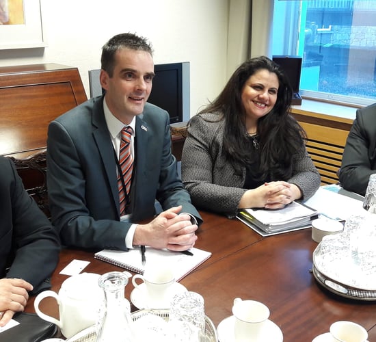 Egypt seeks 1m head of livestock; Ireland prioritised as 'key potential partner'