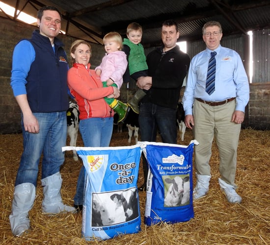 How once-a-day feeding allowed for the growth of a calf rearing business
