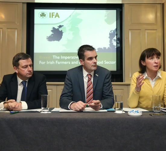 'European politicians believe that the UK should not get a soft exit'