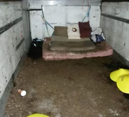 Video: Conditions of how cattle dealer was held hostage revealed