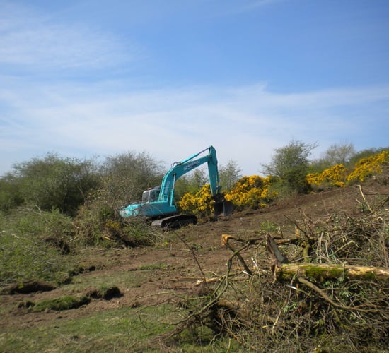 Meath farmer fined for illegal destruction of hedgerows