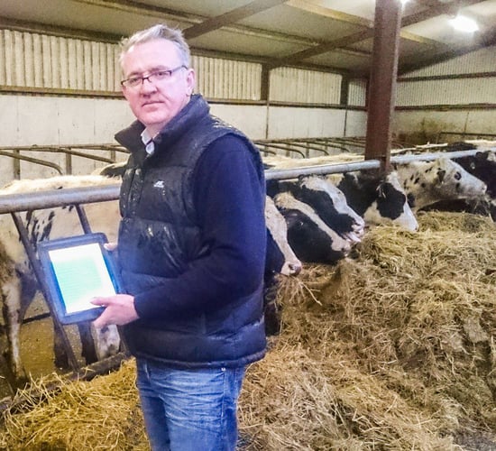 How one farmer has his calves registered before the kettle boils