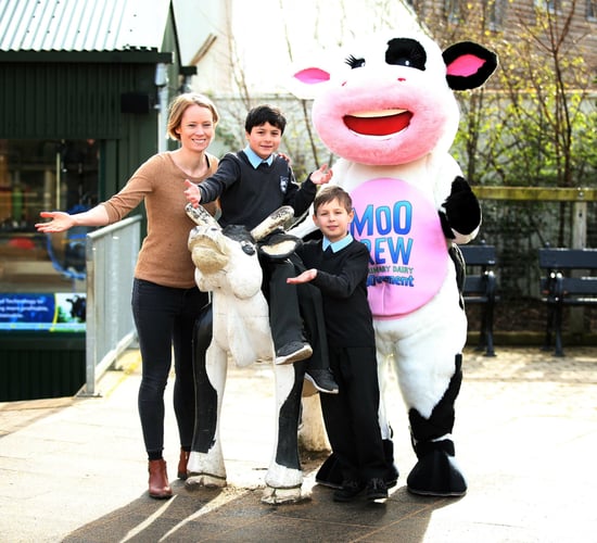 National Dairy Council's education campaign gets another green light