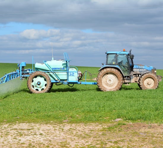 Bayer confirms that ramularia is resistant to most fungicide chemistries