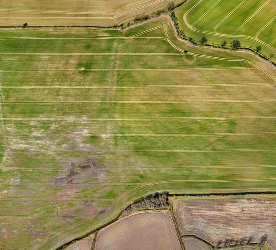 'Flying' with the times: Can drones play a practical role in farming?