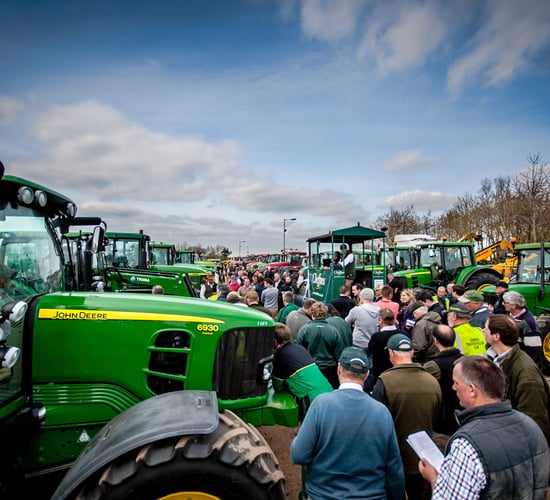 Pics: Irish buyers strong on 'red' and 'blue' but not 'green' at this month's major auction in Cambridge