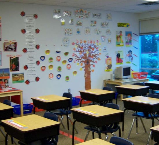 IFA calls for An Taisce 'propaganda' pack to be 'withdrawn from schools'