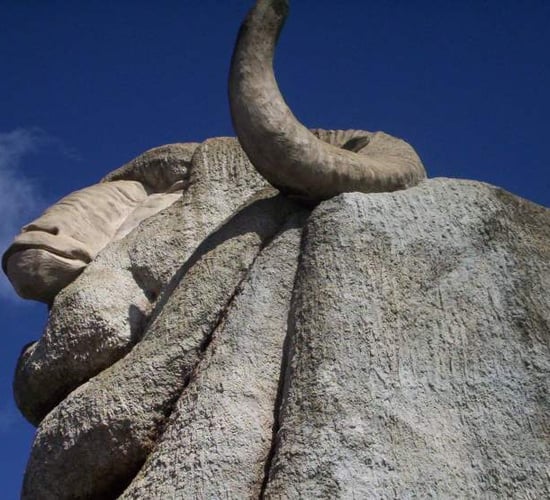 Effects of buoyant wool prices felt 'Down Under'