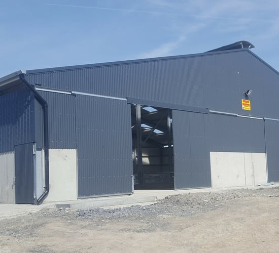 Pics: A sheep shed designed to 'make life easier' during the lambing season