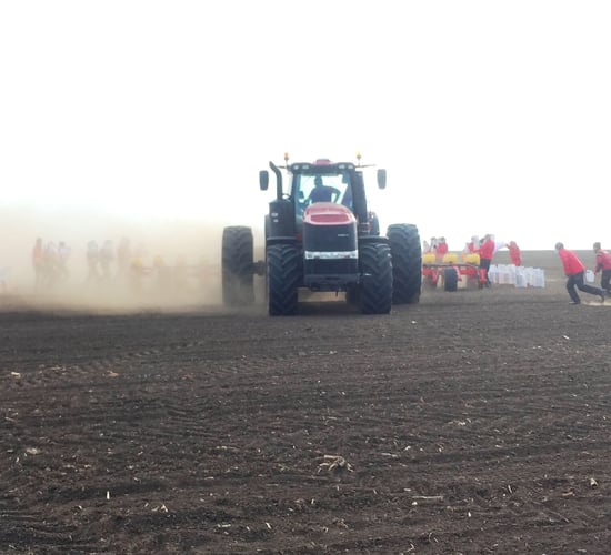 New world record for sowing maize set by Case IH and Vaderstad